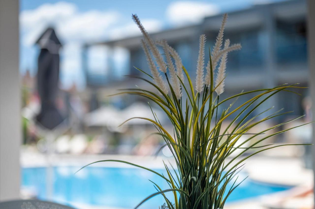 חניוטי Dionysos Hotel & Suites מראה חיצוני תמונה